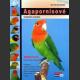 Agapornisové - kompletní průvodce