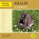 Zakrslý králík - Abeceda chovatele