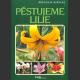 Pěstujeme lilie