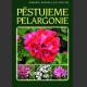 Pěstujeme pelargonie